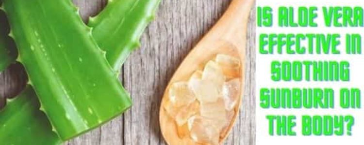 Is aloe vera effective in soothing sunburn on the body?